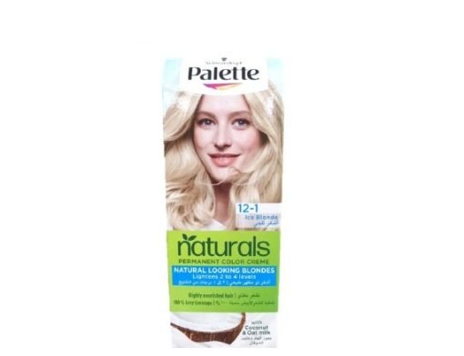 PALETTE NATURALS (12-1) 50ML باليت صبغة اشقر ثلجي